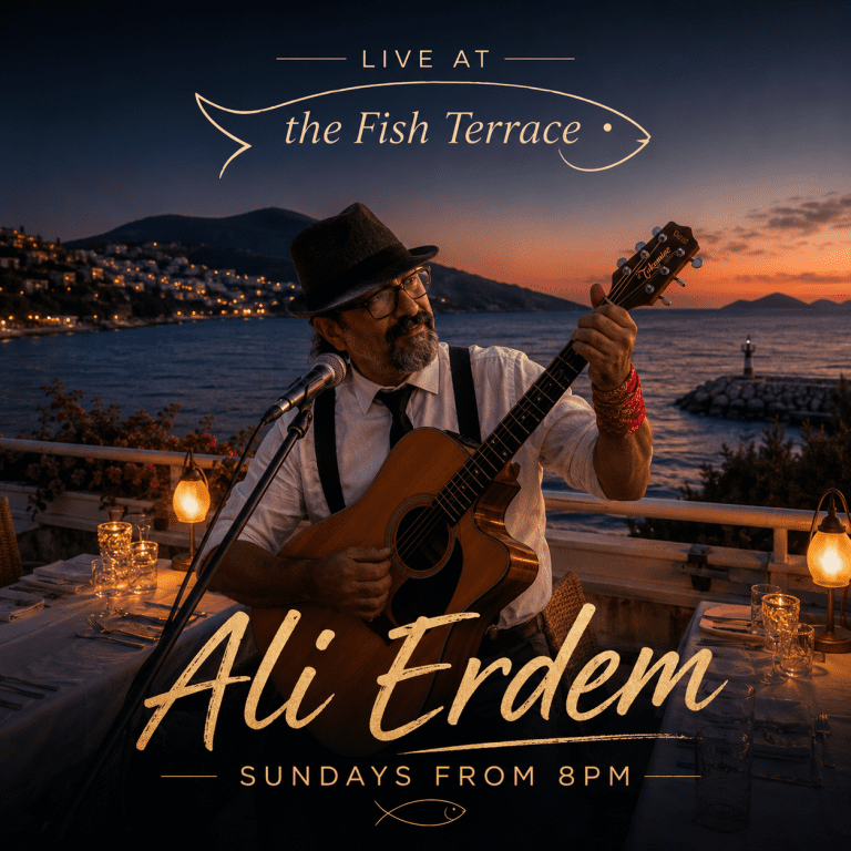 ali-erdem-live-FT